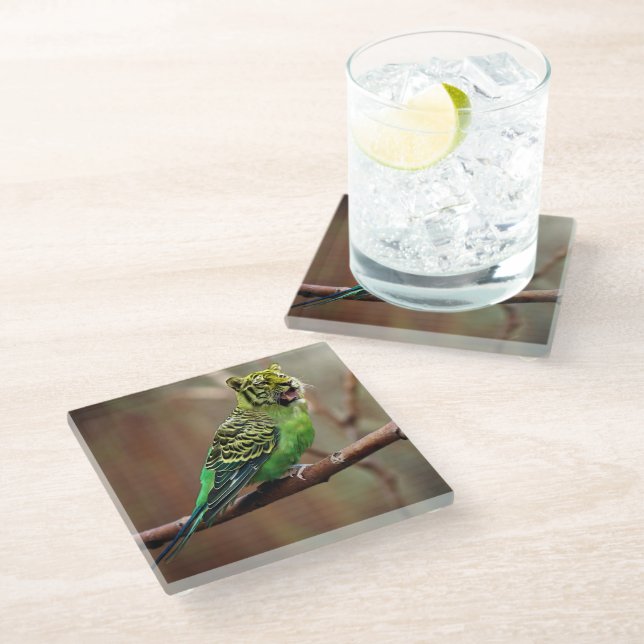 Posavasos De Vidrio Tiger Parakeet (Angular)