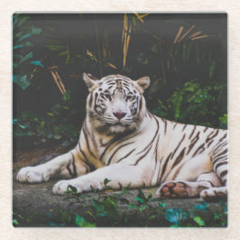 Posavasos De Vidrio Tigre