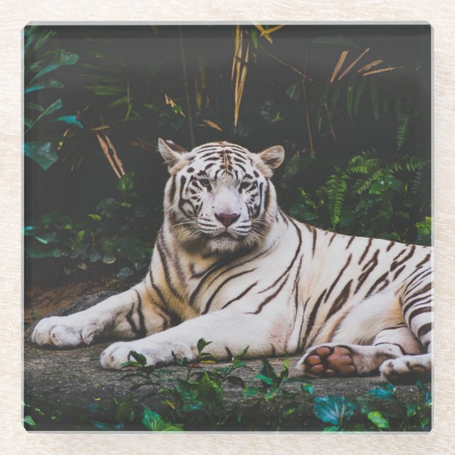 Posavasos De Vidrio Tigre (Anverso)