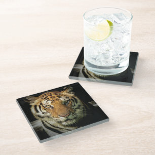 Posavasos De Vidrio tigre