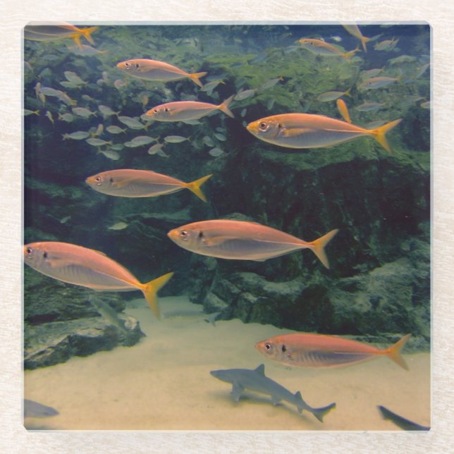 Posavasos De Vidrio Tiro de pescado (Anverso)