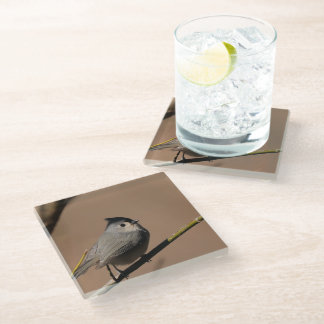 Posavasos De Vidrio Titmouse_Coaster