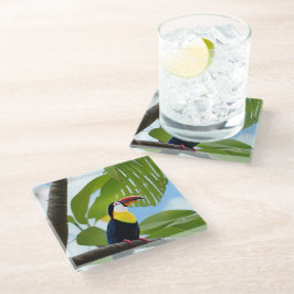 Posavasos De Vidrio Tocan tropical en un árbol