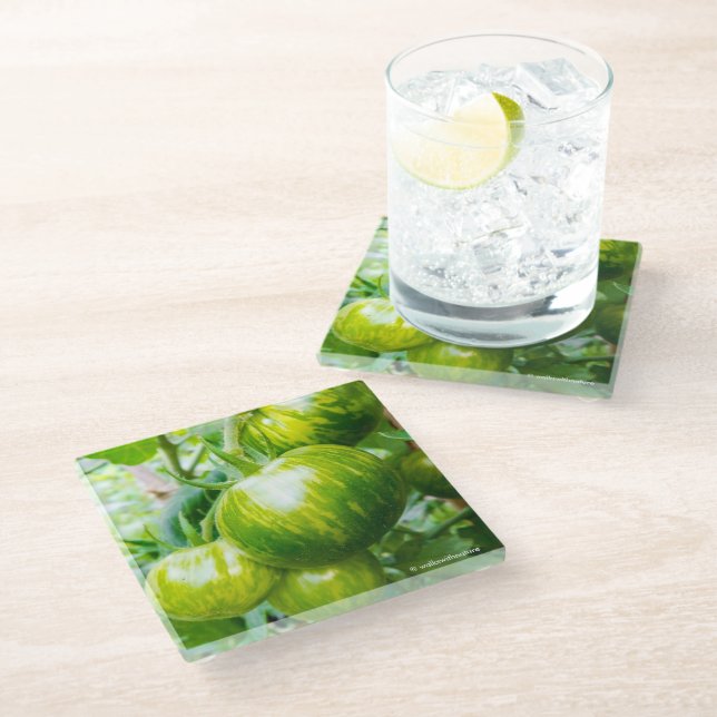 Posavasos De Vidrio Tomates de cebra verde en vino (Angular)