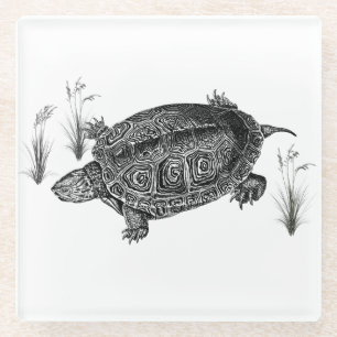 Posavasos De Vidrio Tortuga acuática negra y blanca