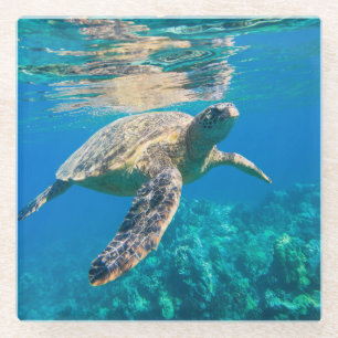 Posavasos De Vidrio Tortuga de mar de la natación