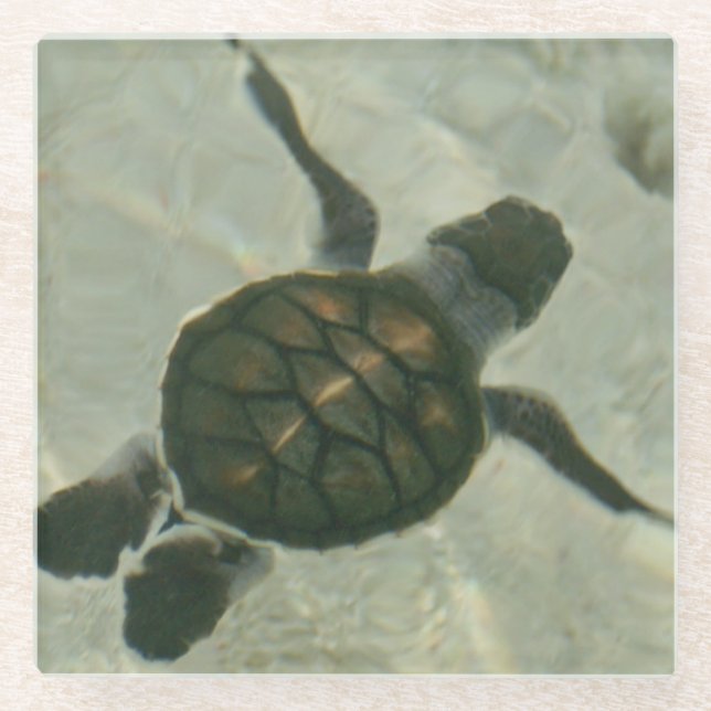 Posavasos De Vidrio Tortuga de mar del bebé que nada hacia fuera al (Anverso)