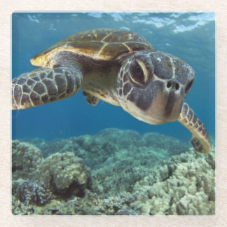 Posavasos De Vidrio Tortuga de mar verde hawaiana