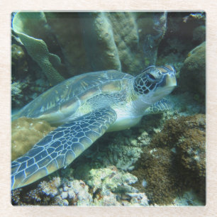 Posavasos De Vidrio Tortuga marina en foto