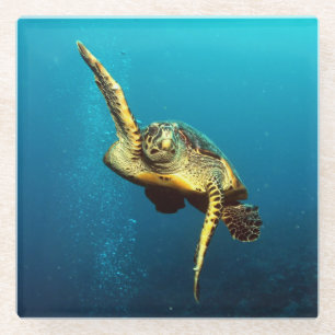 Posavasos De Vidrio Tortuga marina nadando bajo el agua