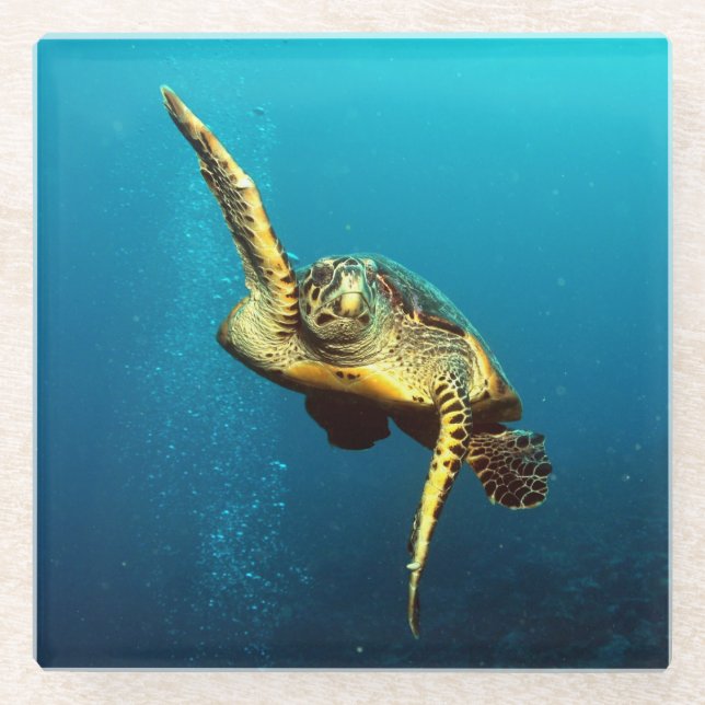 Posavasos De Vidrio Tortuga marina nadando bajo el agua (Anverso)