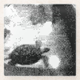 Posavasos De Vidrio tortugas pixeladas