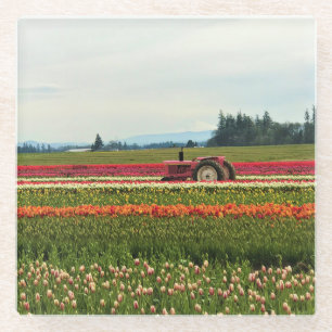 Posavasos De Vidrio Tractor rosa en el campo de los tulipanes, Oregón