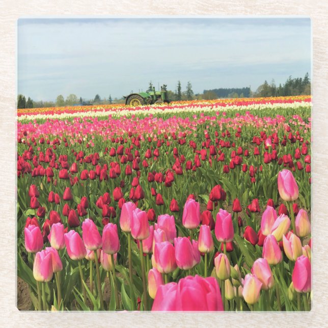 Posavasos De Vidrio Tractor Verde en el Campo Tulip, Oregón (Anverso)