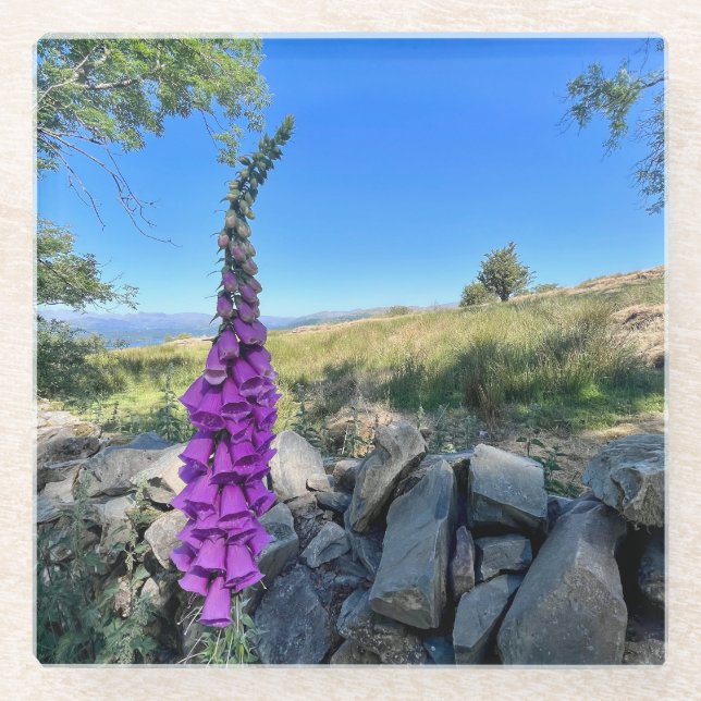 Posavasos De Vidrio Tranquilidad del campo inglés (Anverso)