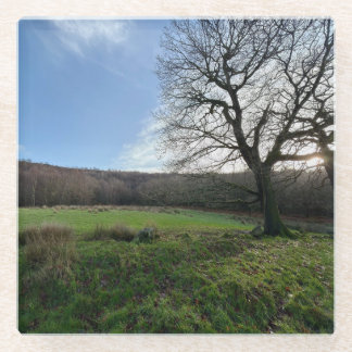 Posavasos De Vidrio Tree view..