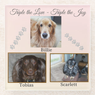 Posavasos De Vidrio Tres Mascotas, Una Historia de Amor