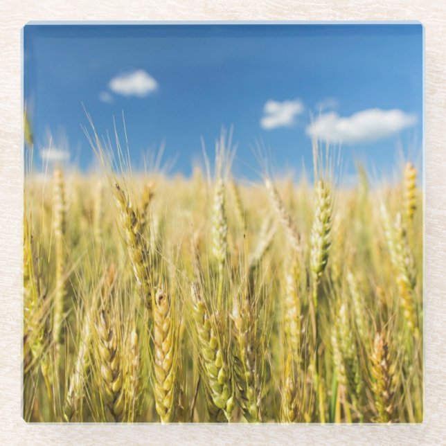 Posavasos De Vidrio Trigo de Kansas (Anverso)