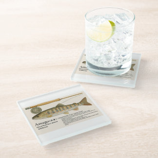 Posavasos De Vidrio Trucha Nativa Japonesa – Amago