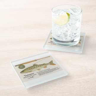 Posavasos De Vidrio Trucha Nativa Japonesa – Yamame