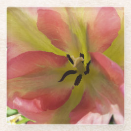 Posavasos De Vidrio Tulipán rosa y amarillo