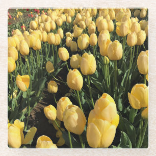 Posavasos De Vidrio Tulipanes amarillos en un campo, Oregón