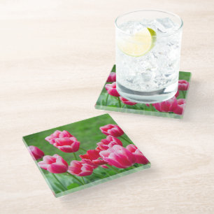 Posavasos De Vidrio Tulipanes escarlata en el jardín