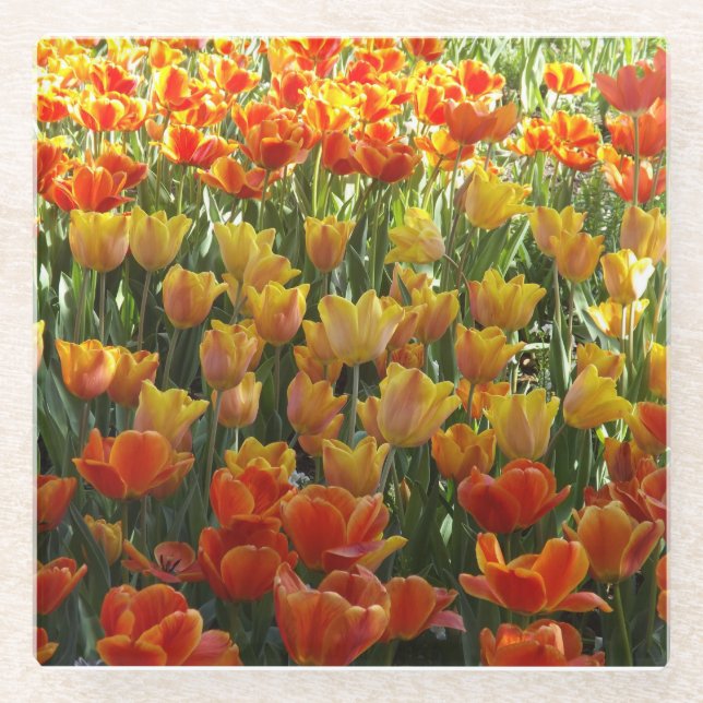 Posavasos De Vidrio Tulips Glass Coaster (Anverso)