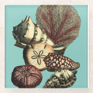 Posavasos De Vidrio Turquesa Shell y colección del coral rojo