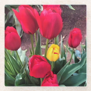 Posavasos De Vidrio Un amarillo con tulipanes rojos