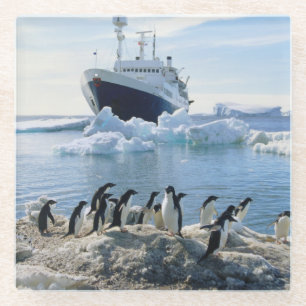 Posavasos De Vidrio Un grupo de pingüinos que se colocan en una playa