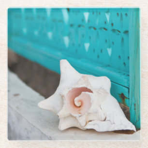 Posavasos De Vidrio Un mar jamaicano blanco y rosado Shell se sienta