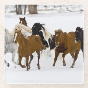 Posavasos De Vidrio Un paisaje invernal de caballos corriendo