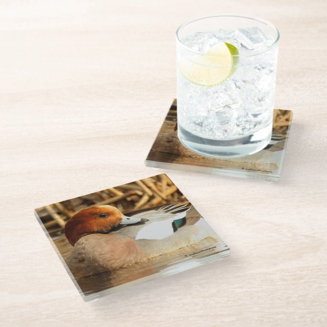 Posavasos De Vidrio Un reloj de cirujana eurasiática sonriente en el e (Angular)