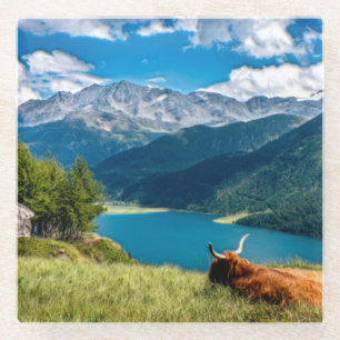 Posavasos De Vidrio Vaca de las tierras altas de la montaña