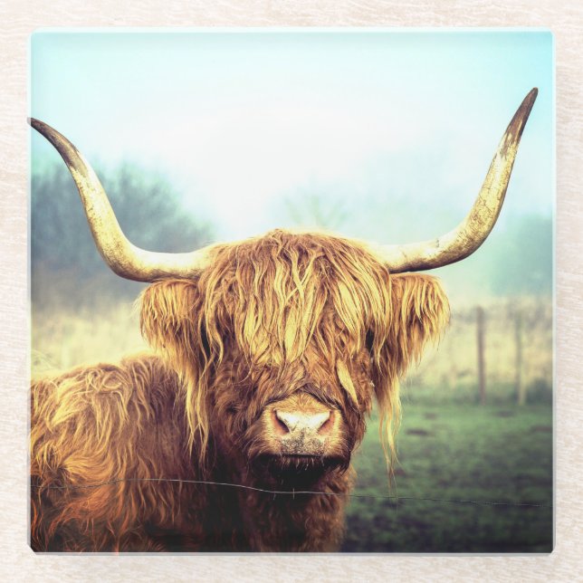 Posavasos De Vidrio Vaca Highland (Anverso)