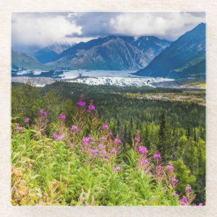 Posavasos De Vidrio Valle de Matanuska, Alaska del Sur