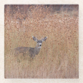 Posavasos De Vidrio Venado en la pradera