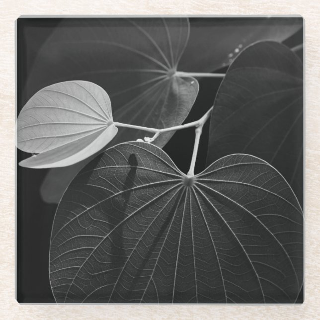 Posavasos De Vidrio Venas de una hoja (Anverso)