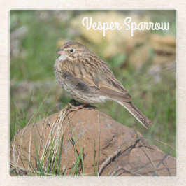 Posavasos De Vidrio Vesper Sparrow