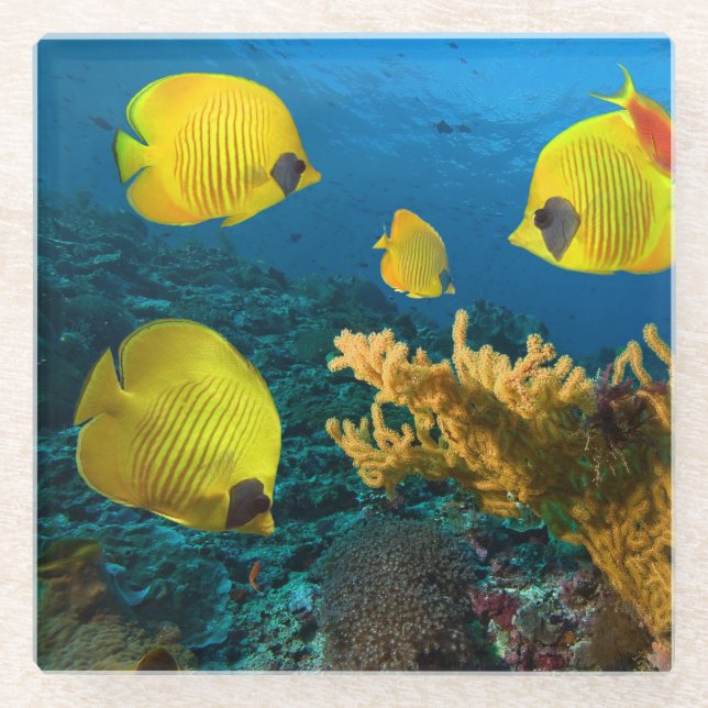 Posavasos De Vidrio Vidrio de montaña rusa (Anverso)