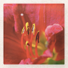 Posavasos De Vidrio Viendo rojo