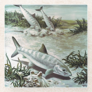 Posavasos De Vidrio Vintage Bonefish Underwater Scene