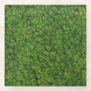Posavasos De Vidrio Vista aérea del bosque, vista superior, espacio de