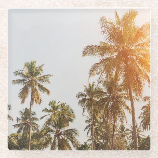 Posavasos De Vidrio Vista panorámica de Palm Beach (Anverso)
