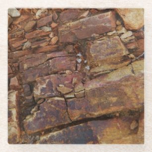 Posavasos De Vidrio Vista rocosa