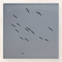 Posavasos De Vidrio Vuelo nocturno