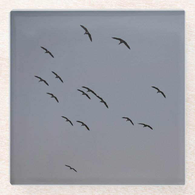 Posavasos De Vidrio Vuelo nocturno (Anverso)