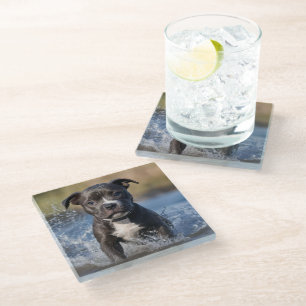Posavasos De Vidrio "Wave Chaser: Una golondrina mullida jugando en el