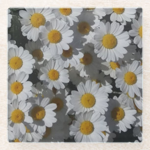 Posavasos De Vidrio White Daisies